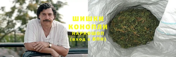 крисы Белокуриха