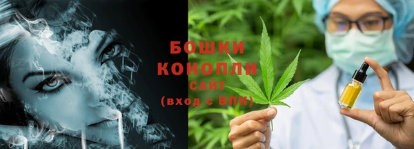 крисы Белокуриха
